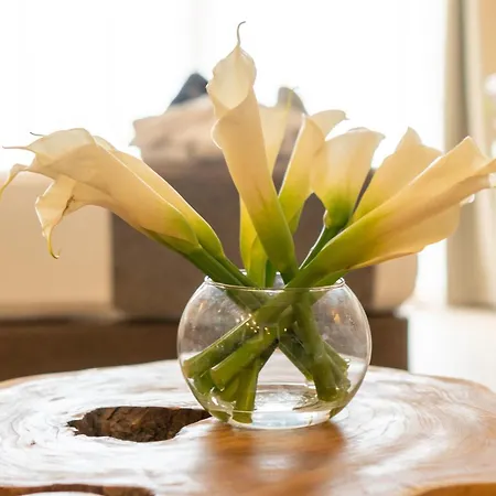 Event By Qhotels - Adults Recommended Hotel Tarifa